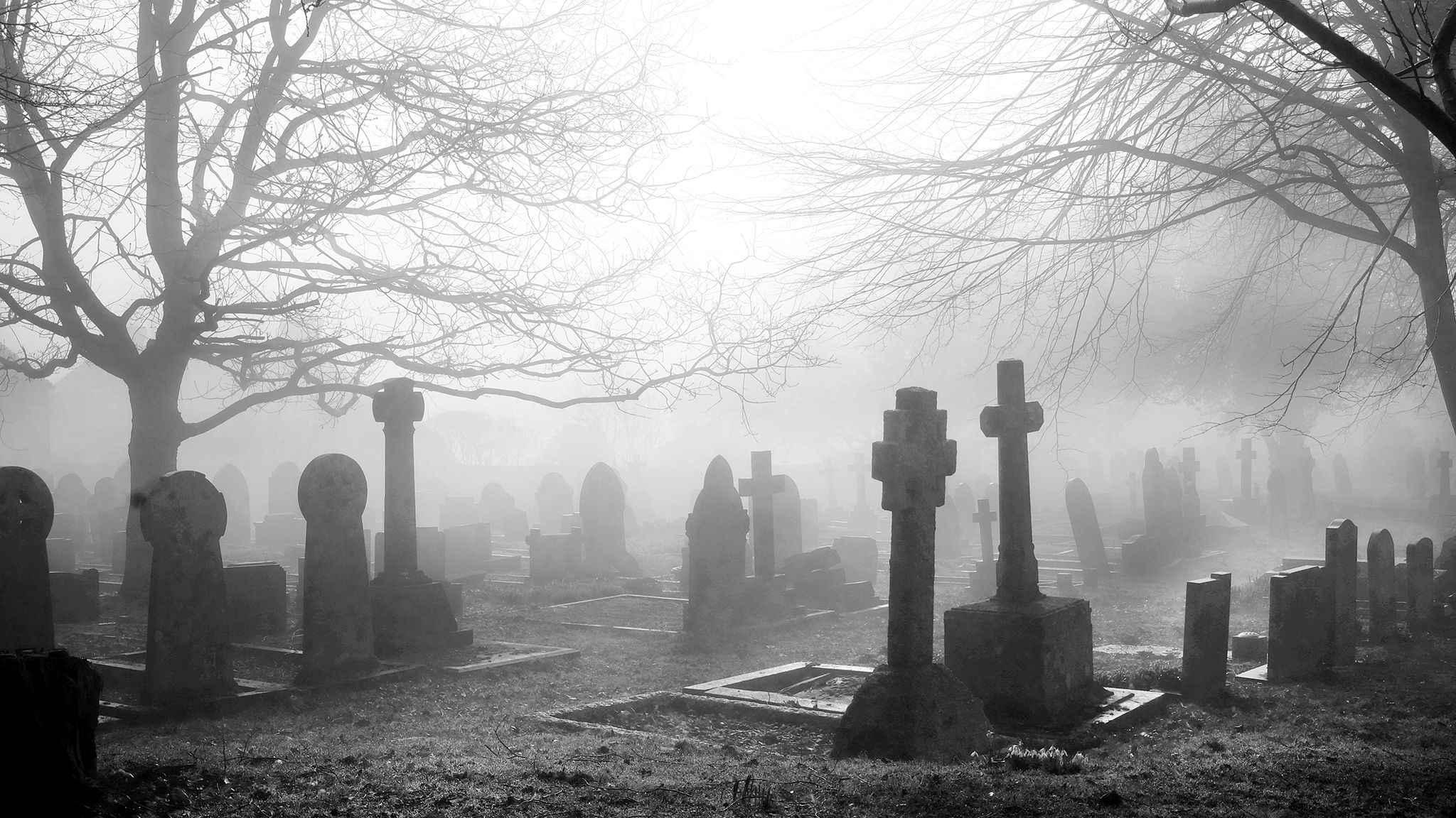 Тени на кладбище